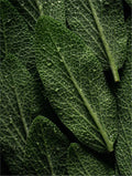 Rosemary Hair & Scalp Strengthening Oil